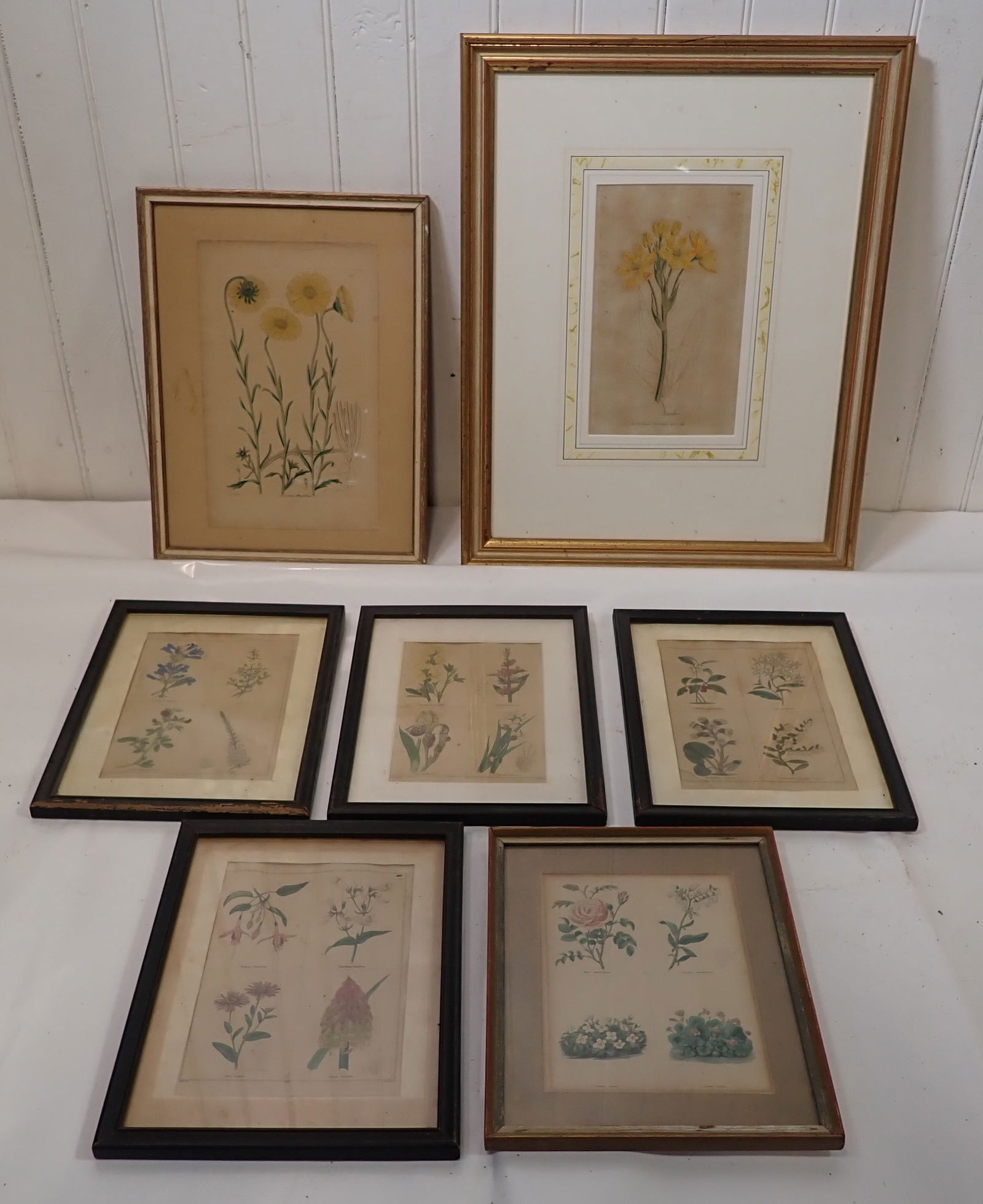 Framed Botanical Lithographs (1 of 8)