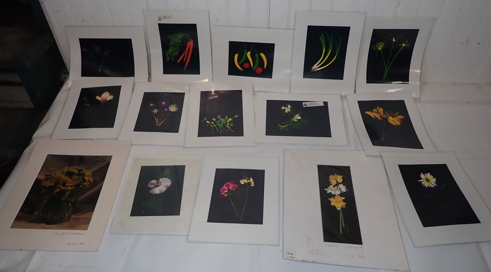 Sally Dougan Photographs (1 of 8)