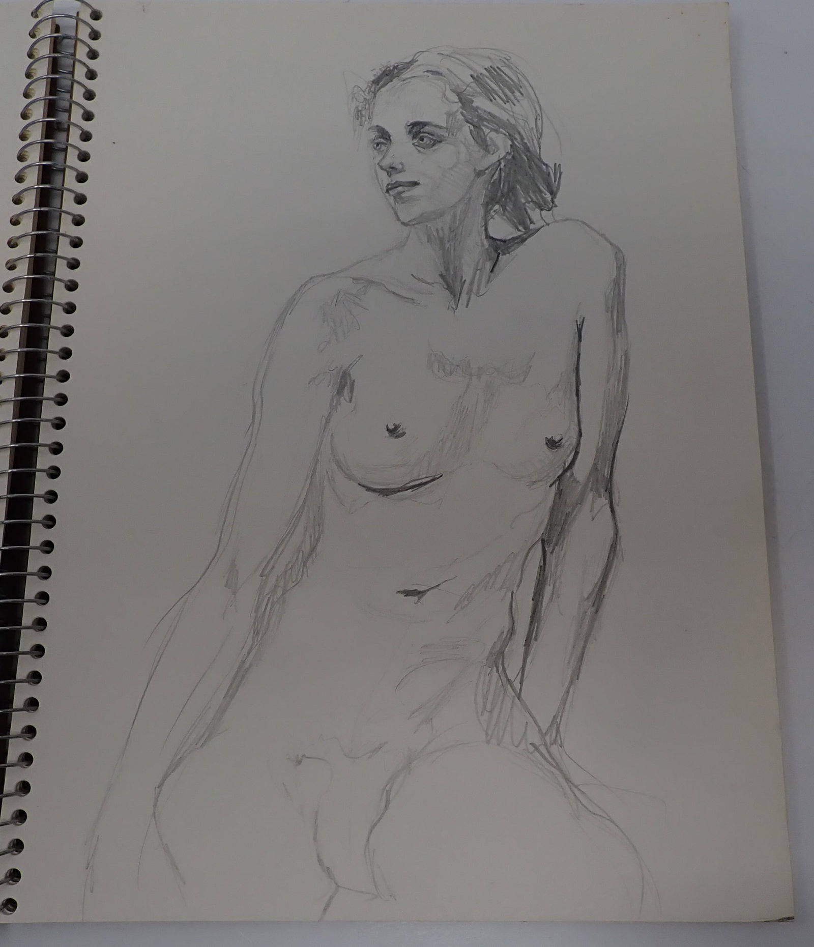 Sketchbook w/ Sketches: Book has 100 pages and approx a little less than half have sketches. Shipping available