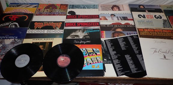 Rock Records incl Beatles Bruce Springsteen Zappa
