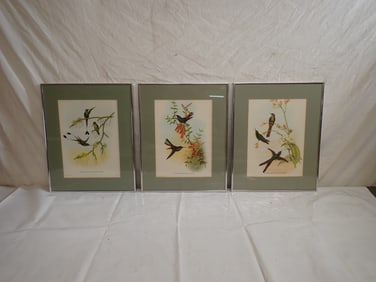 3 Bird Lithographs