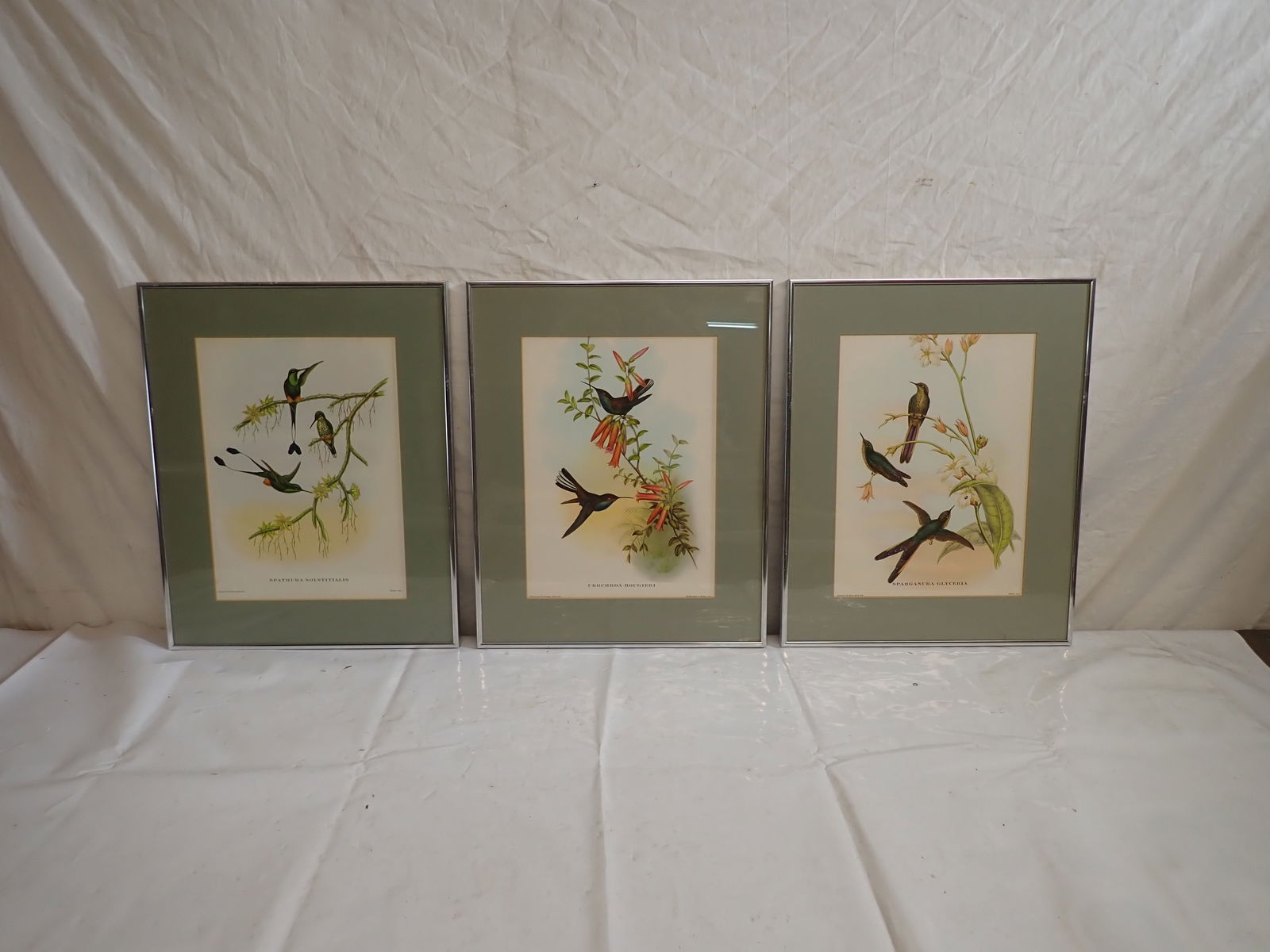 3 Bird Lithographs (1 of 6)