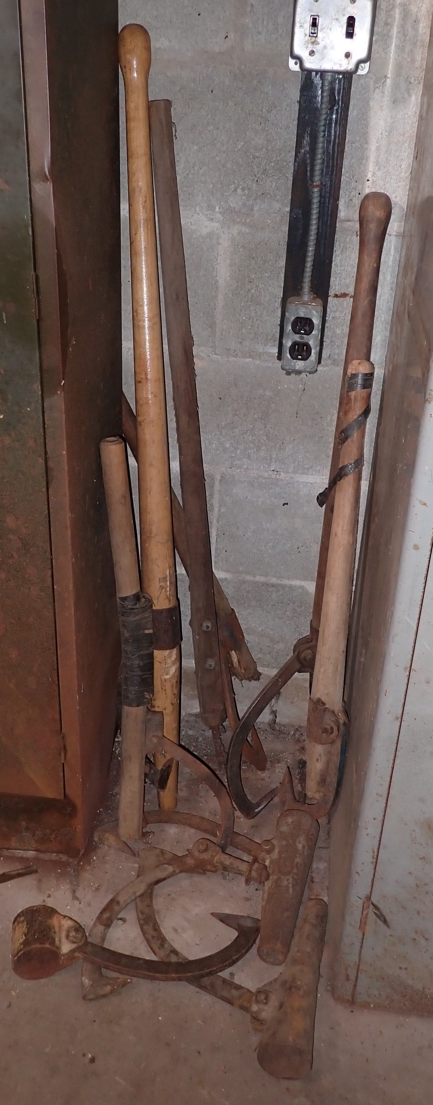 Log Rollers (1 of 3)