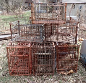 25 Wire Milk Crates