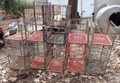 17 Wire Milk Crates