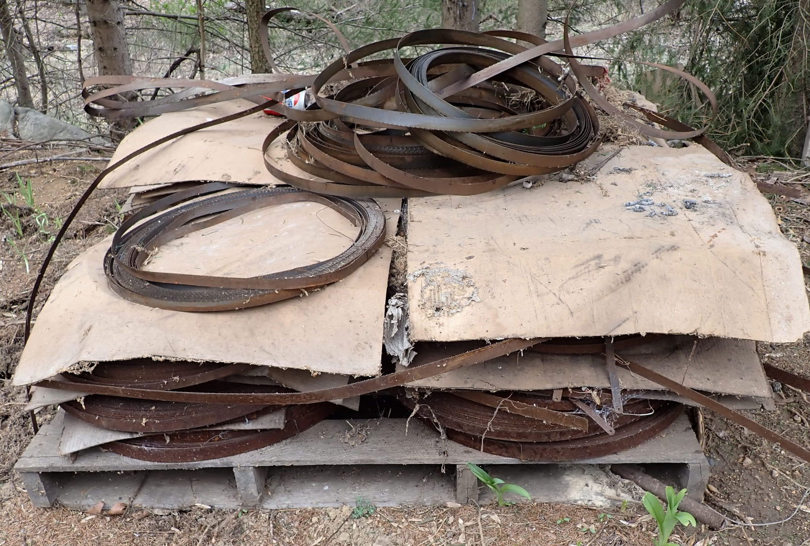 Pallet of Bandsaw Blades (1 of 3)