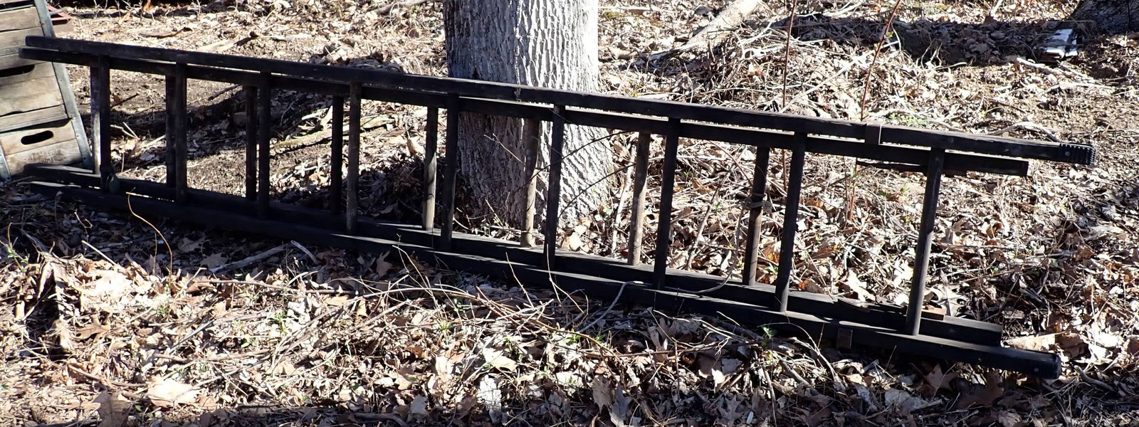 16' Wooden Extension Ladder (1 of 2)