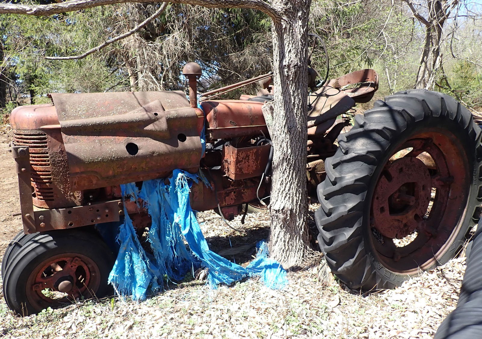 Antique Farmall Tractor (1 of 6)