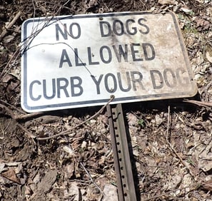 No Dogs Allowed Aluminum Sign