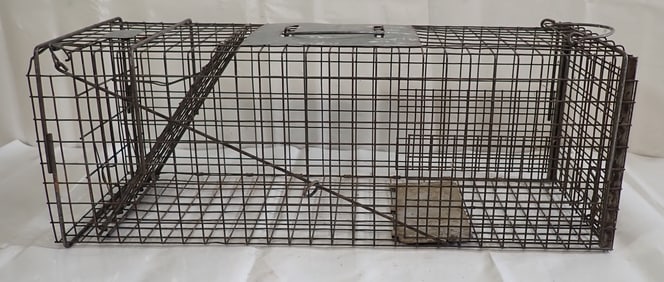 Tomahawk Live Animal Trap
