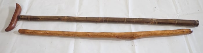 Walking Sticks