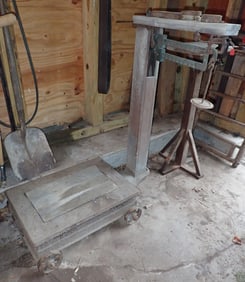 Platform Scale