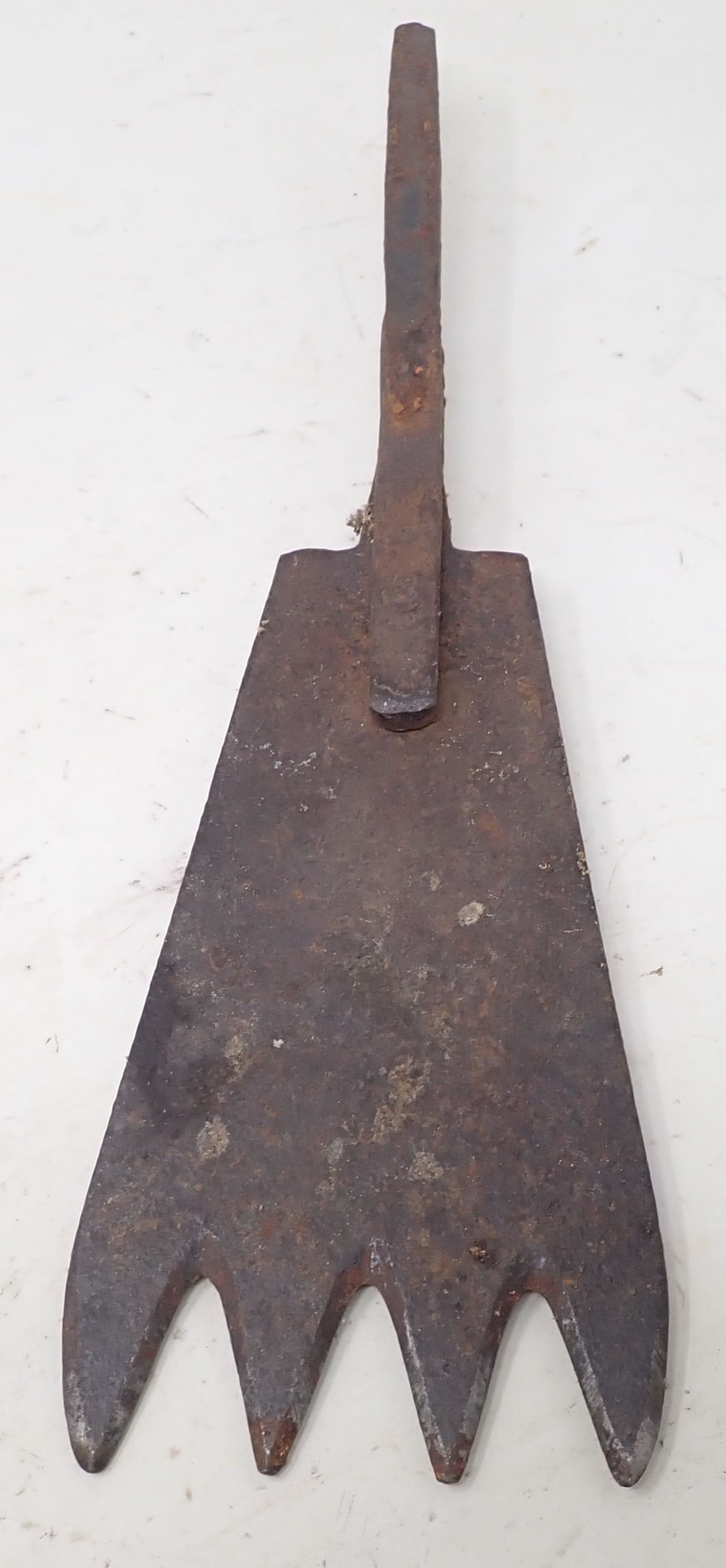 Hand Forged Spear Head: Approx 4 1/4" x 13 1/8". Shipping available
