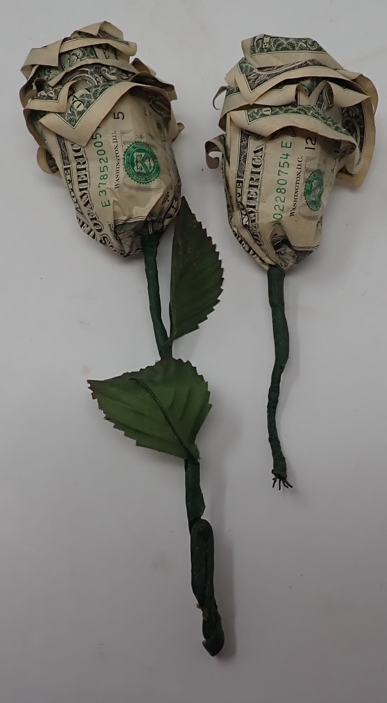 Dollar Bill Flowers (1 of 2)