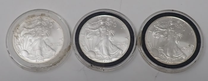 2003 2004 Walking Liberty 1oz Fine Silver Eagles