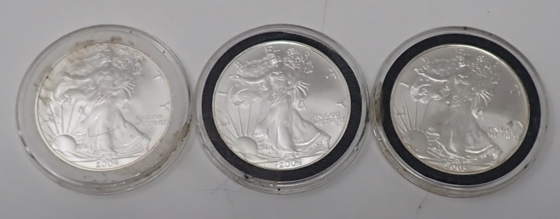 2003 2004 Walking Liberty 1oz Fine Silver Eagles (1 of 6)