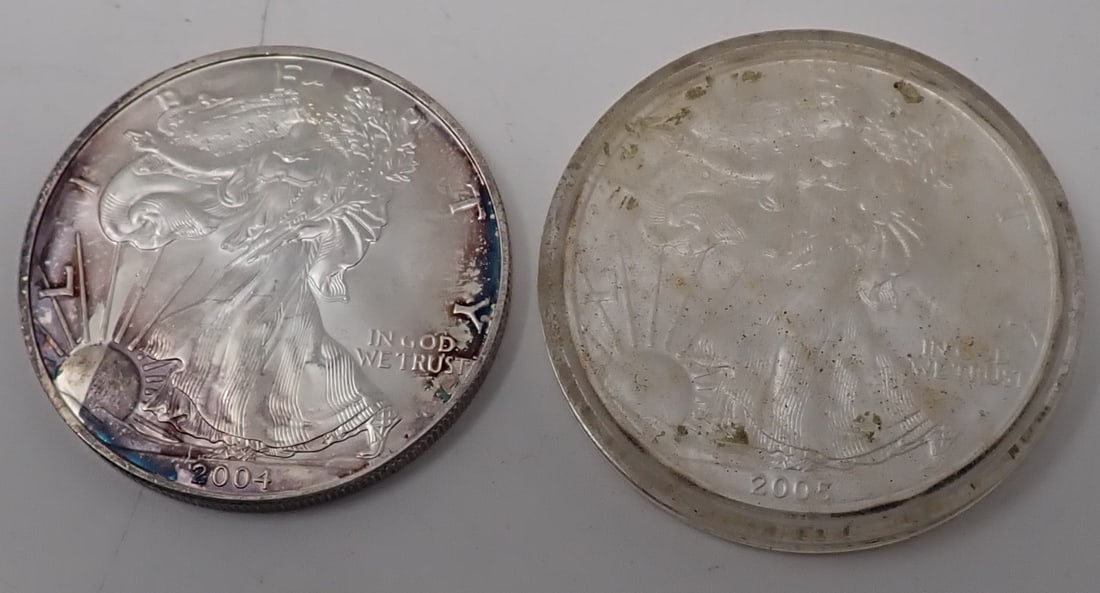 2004 & 2005 Silver Eagle Coins (1 of 2)