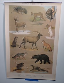 4 1965 Ned Smith Pennsylvania Game Commission Posters