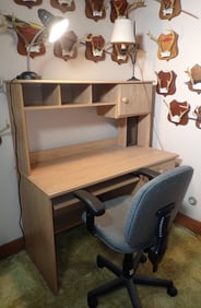 Desk , Chair , & 2 Lamps