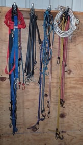 Bungy Cords Rachet Strap & Shackle