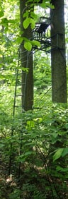 Deer Ladder Stand & Siting Table