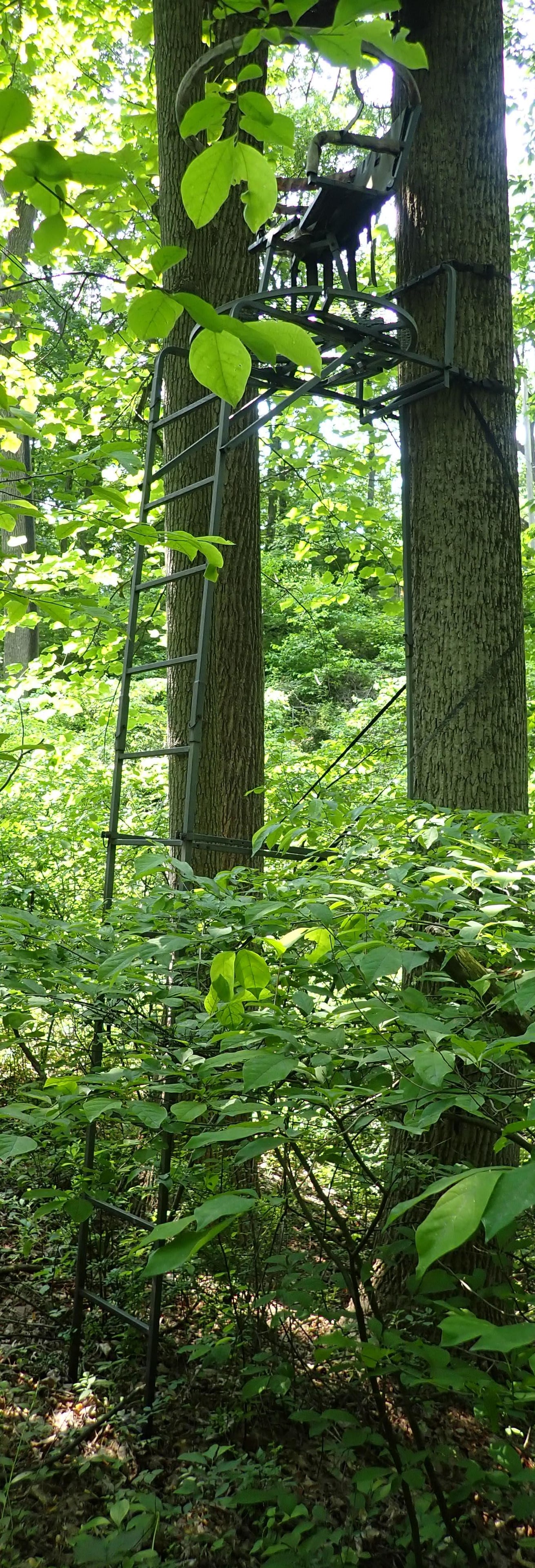 Deer Ladder Stand & Siting Table: Bring proper help to take down & remove. It is located approx 30 yards off of driveway. Do not block driveway when picking it up. No in house shipping