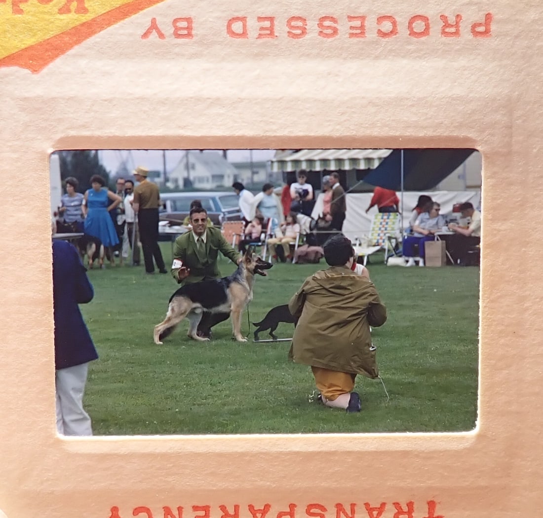 Theodore Beckhardt Photo Picture Slides: 9 Carousels , all just about full.- Shipping available