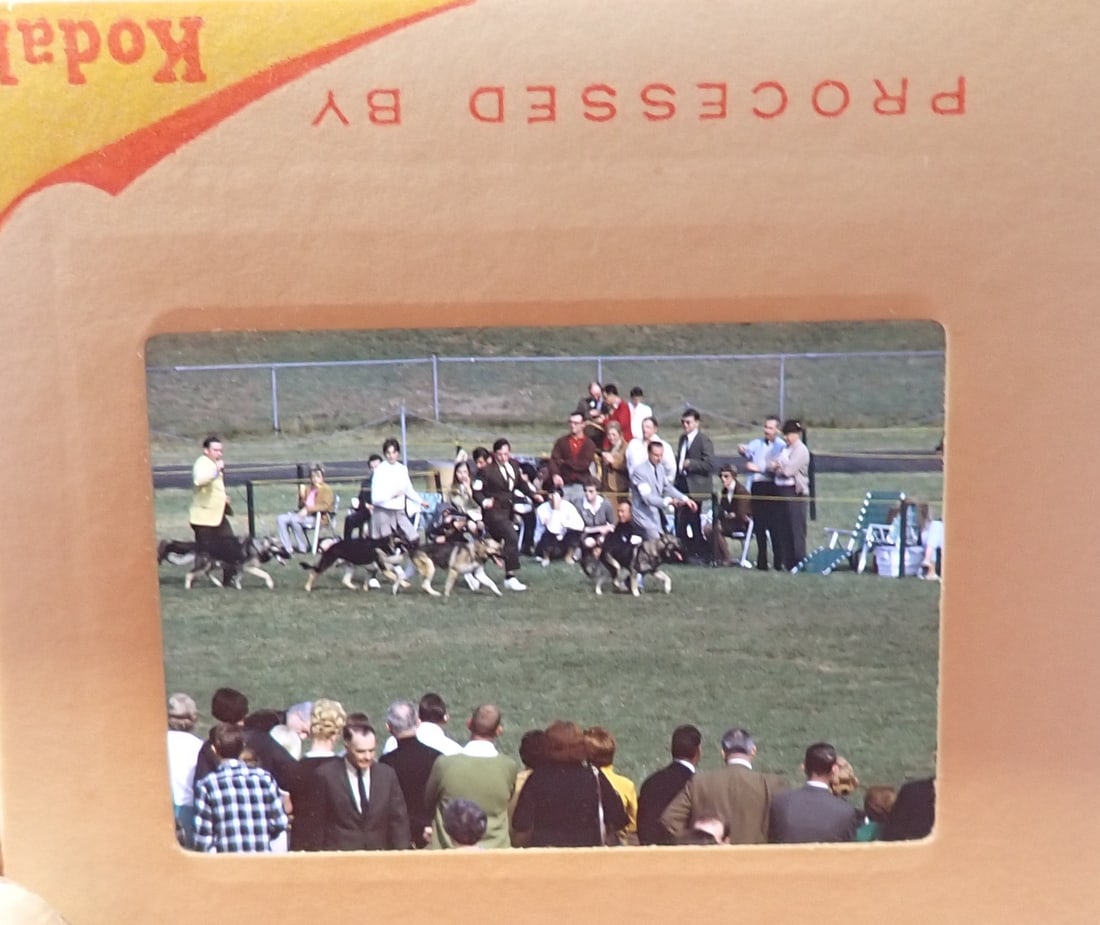 T. Beckhardt Canada , Dog Show , & Misc Picture Slides (1 of 10)