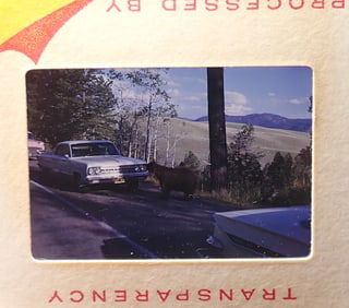T. Beckhardt Yellowstone Park & Misc Picture Slides