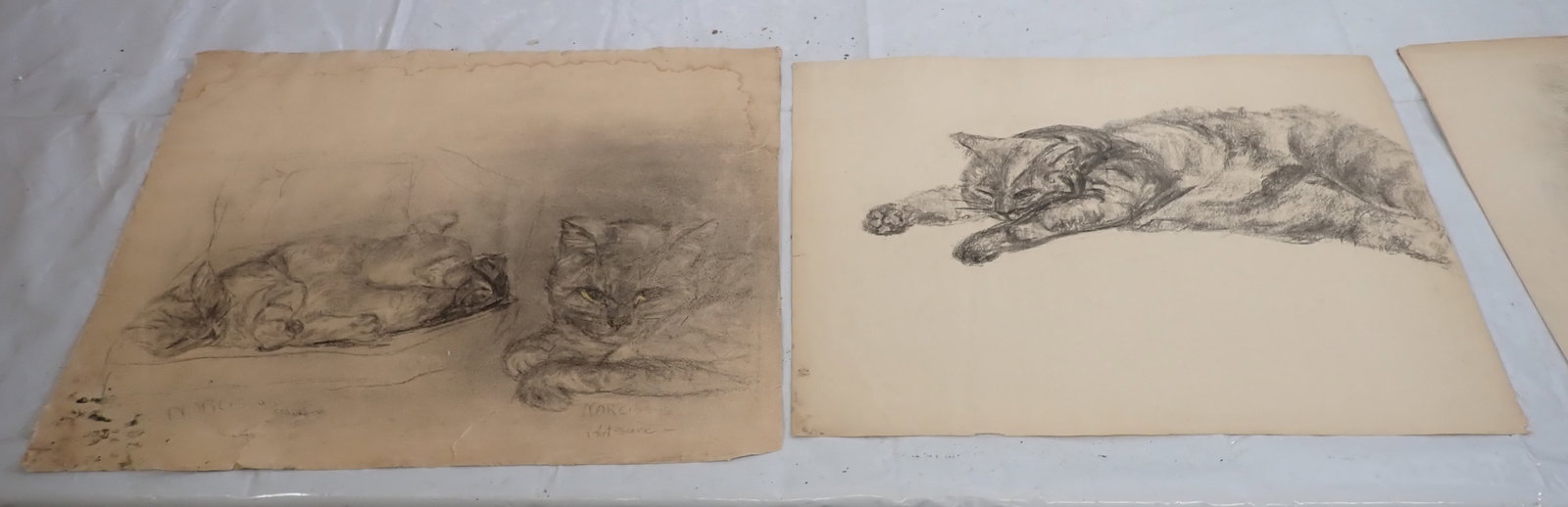 5 Cat Drawings: Largest is approx 20" x 25". Shipping available