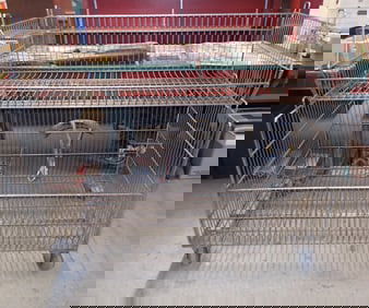 Rolling Wire Cart