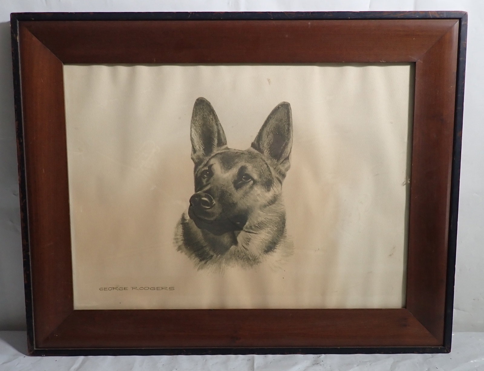 George Rodgers German Shepherd Drawing: Approx 22 1/4" x 28 3/4". Shipping available ($30 handling charge, plus postage)