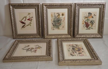 5 Decorator Bird Prints