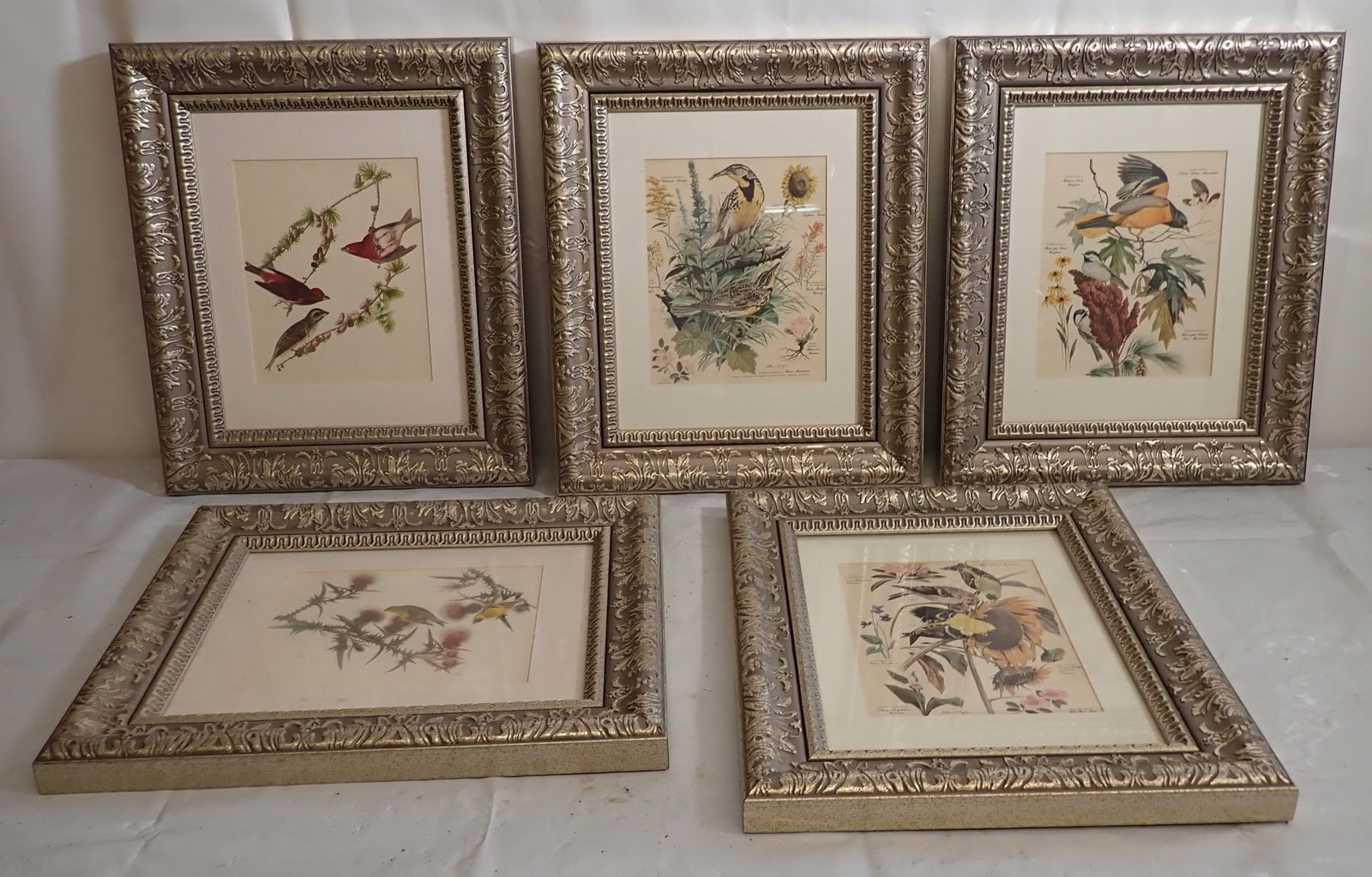 5 Decorator Bird Prints (1 of 5)