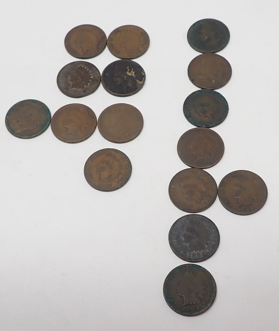 Indian Head Pennies (1 of 19)