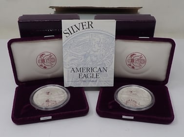 (2) 1995 Silver Eagle 1oz Silver Bullion Coins