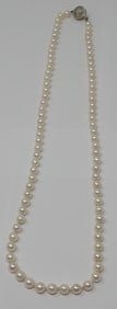 Cultured Pearl Necklace