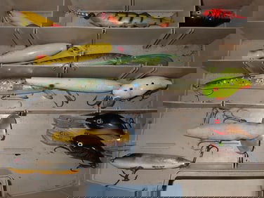 Tackle Box & Lures