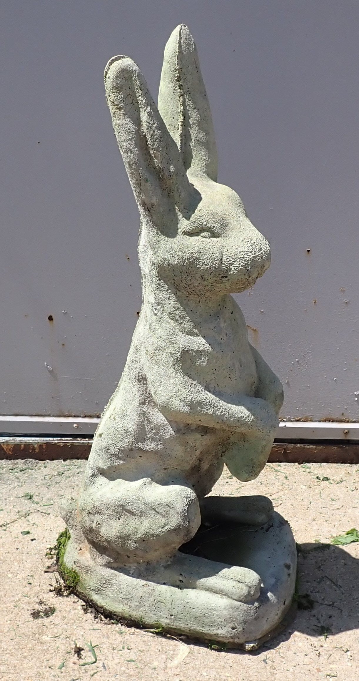 Concrete Rabbit: Apprx 30" tall. No in house shipping !