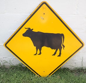 Cow Street Sign