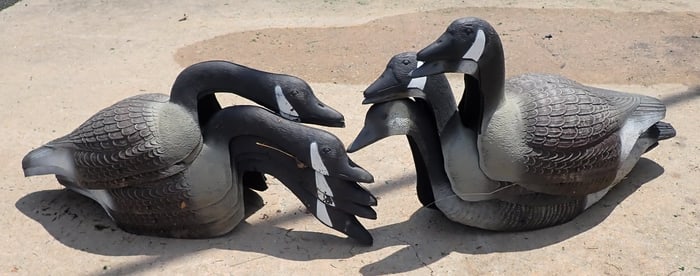 11 Plastic Geese Decoys