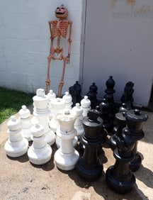 28 Plastic Chess Pieces and Skeleton