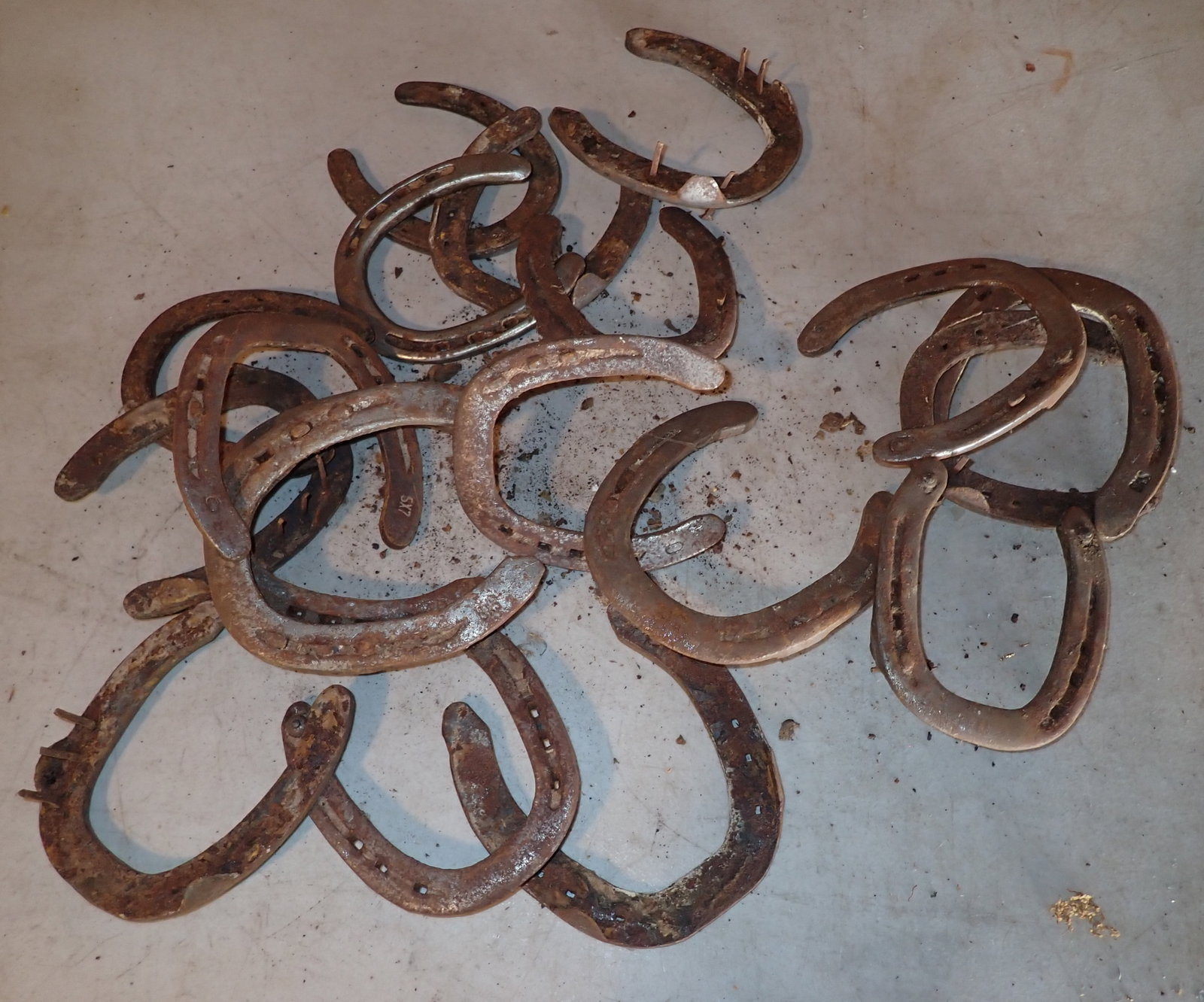 Horseshoes: Horse Shoes - Shipping available