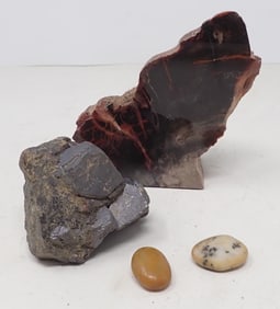 Rocks Fossils Minerals