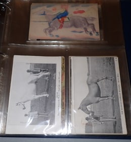 Horse Related Postcards Stamps & Tintype
