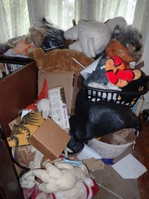 Stuffed Animals & Misc