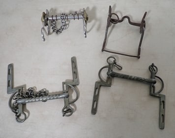 Eglentine , USA , Peninsula Waterloo Horse Bits