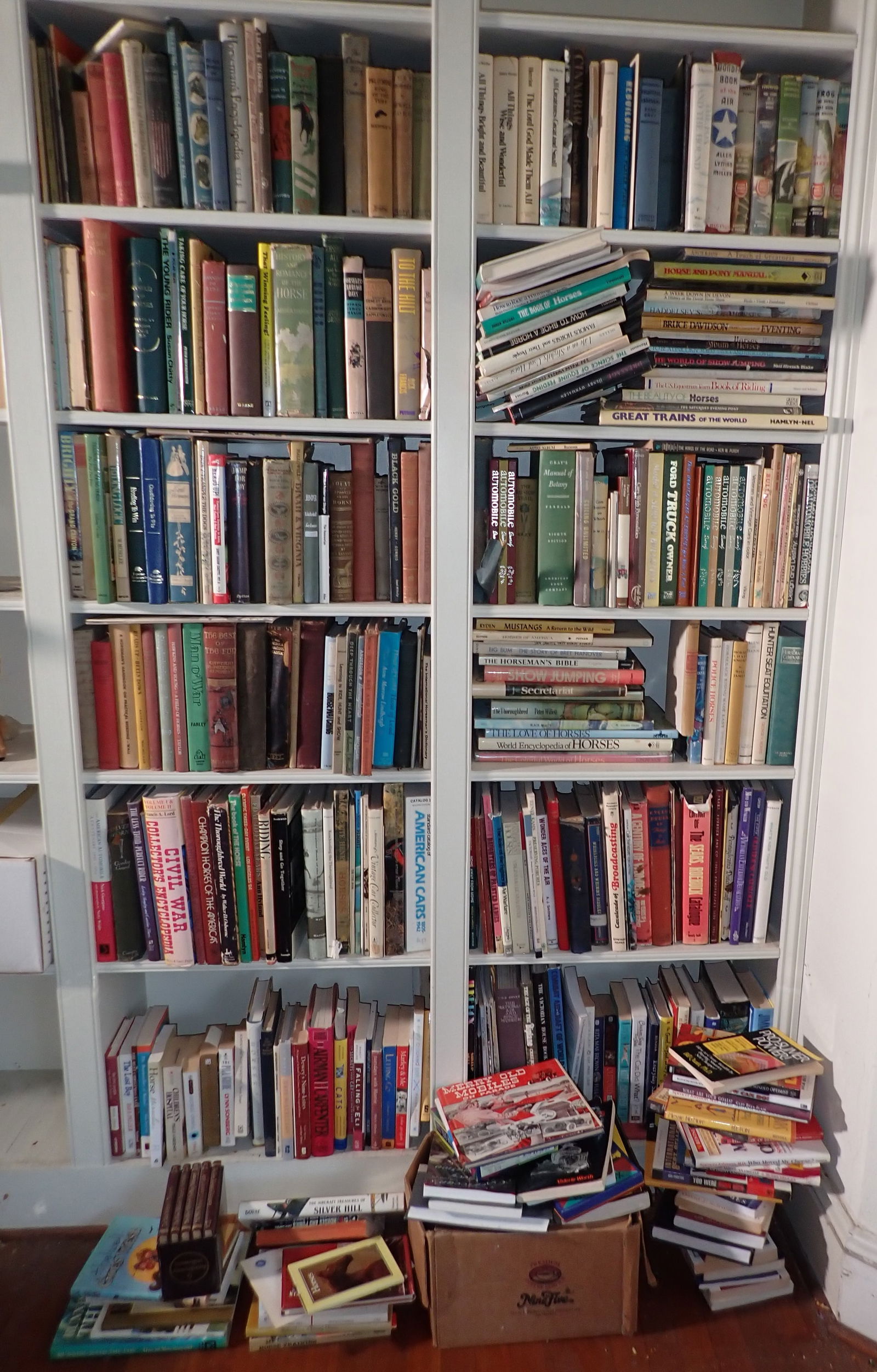 Horse Related & Misc Books (1 of 13)