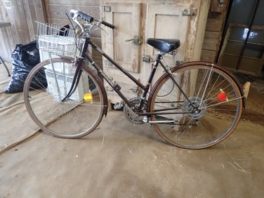 Panasonic Tourist Girls Bike