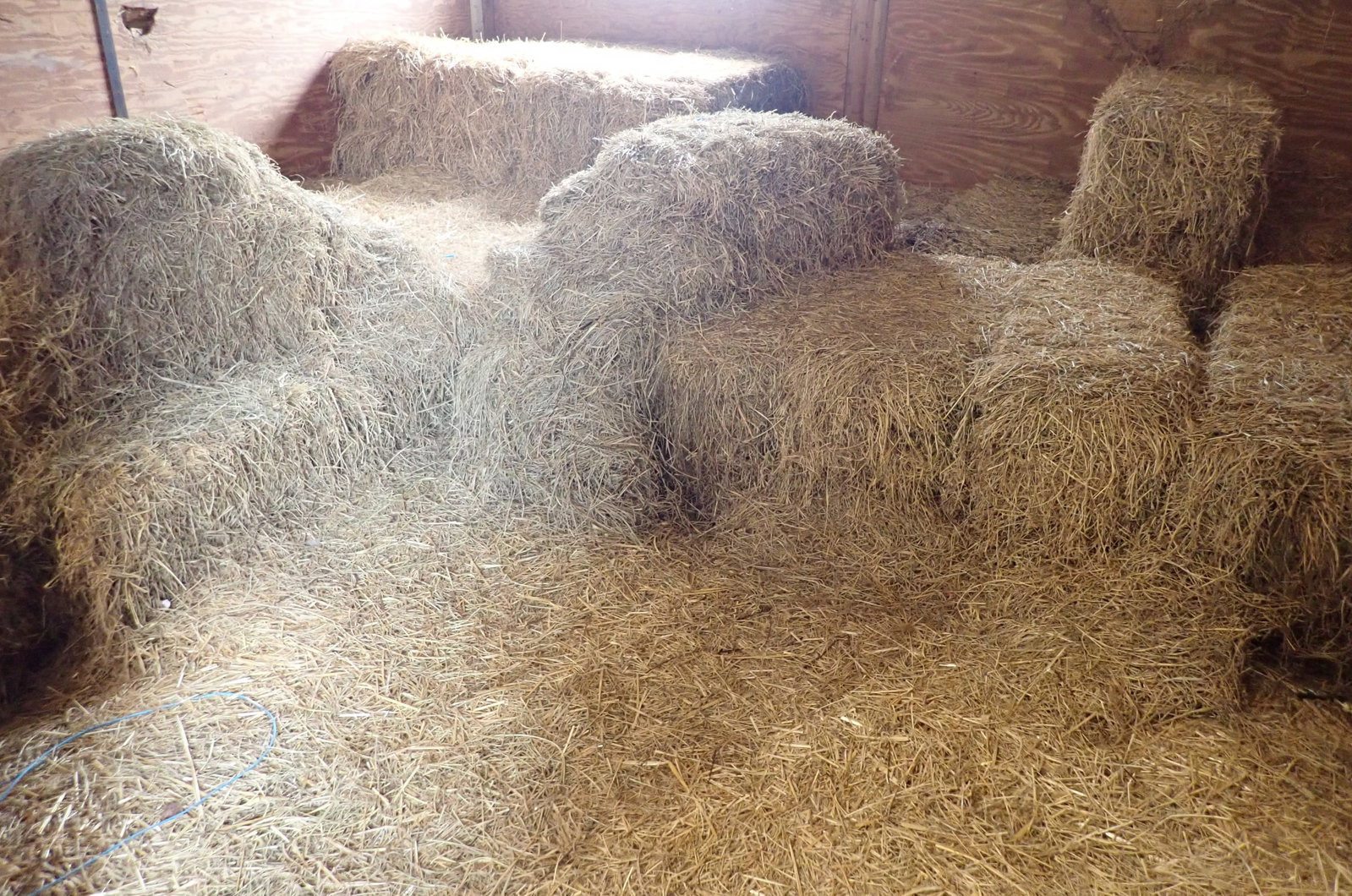 28 Bales of Hay: Apprx 28 bales. No in house shipping